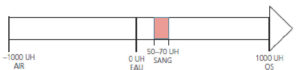 Figure 21.3 Échelle de densité des tissus selon Hounsfield allant de − 1000 UH à + 1000 UH. Le sang (caillot, hématomes récents) est compris entre + 50 et + 70 UH.