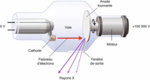 Figure 3.2 Schéma représentatif du tube à rayons X (tube de Coolidge). Dessin : Cyrille Martinet.