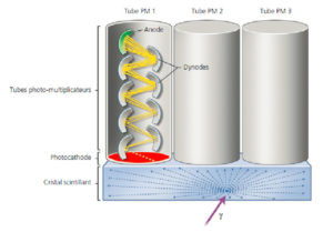 Figure 5.2 Détection des photons γ par un cristal scintillant couplé à des tubes PM. L'interaction d'un photon γ avec le cristal se traduit par l'émission de 103 à 104 photons lumineux (flèches bleues) qui traversent le cristal sans interagir avec lui. Le principe du tube PM est illustré pour le tube PM1. Sous l'impact d'un photon lumineux, la photocathode (rouge) libère un électron (flèche jaune) qui est ensuite accéléré par la différence de potentiel photocathode/dynode et vient frapper la première dynode. Chaque électron incident arrache plusieurs électrons secondaires à la dynode, qui sont à leur tour accélérés puis démultipliés sur une dizaine de dynodes successives avant de frapper l'anode (vert). Dessin : Cyrille Martinet.