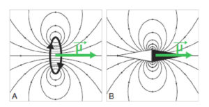 Figure 8.1 Exemples de sources magnétiques. Une boucle de courant (A) ou une aiguille aimantée (B) génèrent un champ magnétique, représenté par les lignes de champ ; le moment magnétique est une représentation vectorielle de la source magnétique.