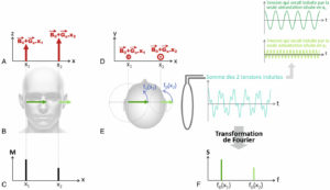 Figure 8.11 Principe du codage par la fréquence en IRM. L'application d'un gradient Gx pendant le retour à l'équilibre de l'aimantation crée une équivalence entre la position x et la fréquence de précession f0 (A–E) ; la transformée de Fourier du signal enregistré en présence de Gx fournit la distribution fréquentielle des aimantations (F) qui correspond à leur distribution spatiale selon x (C).