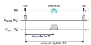 Figure 8.12 Séquence d'IRM décrivant la chronologie de l'excitation sélective et le codage par la fréquence ; cette séquence comprend les éléments de base de la séquence d'écho de gradient.