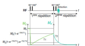 Figure 8.17 Effet du TR et du TE sur la pondération en T1 et en T2.