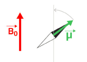 Figure 8.2 Interaction entre une aimantation μ et un champ magnétique statique : s'aligne parallèlement à B0.