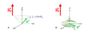 Figure 8.5 Retour à l'équilibre. Après l'excitation RF, l'aimantation retourne à sa position d'équilibre selon un mouvement combinant une précession autour de l'axe z à la fréquence f0 (A), une décroissance exponentielle en T2 de la composante transversale Mxy et une récupération exponentielle en T1 de la composante longitudinale Mz ; la trajectoire parcourue par l'extrémité du vecteur dessine une forme de « chapeau pointu » (B).