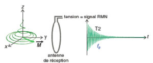 Figure 8.8 Le signal détecté en RMN est la tension induite aux bornes de l'antenne de réception par la précession de l'aimantation.